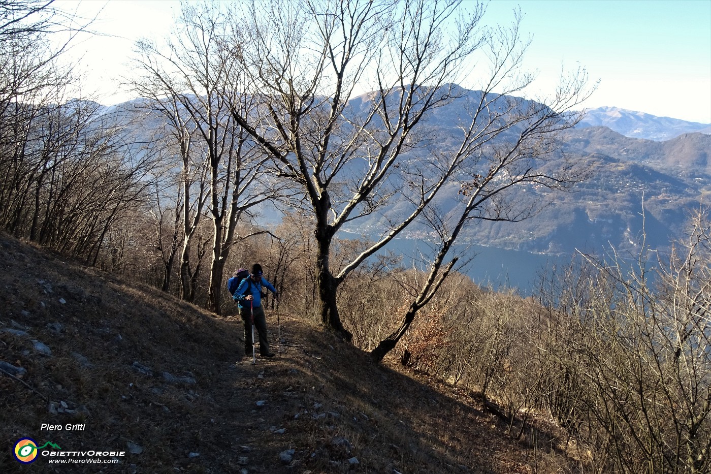 36 Proseguiamo sul versante nord tra faggi secolari.JPG